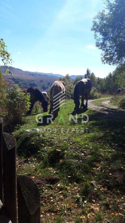 Refugiul Tău Perfect în Stațiunea Muntele Băișorii–Cabana Visurilor Tale!