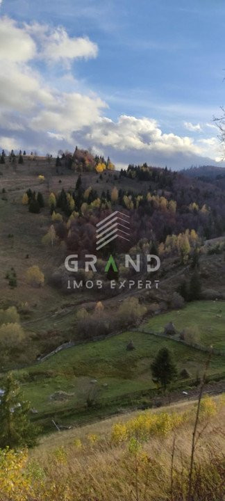 Refugiul Tău Perfect în Stațiunea Muntele Băișorii–Cabana Visurilor Tale!
