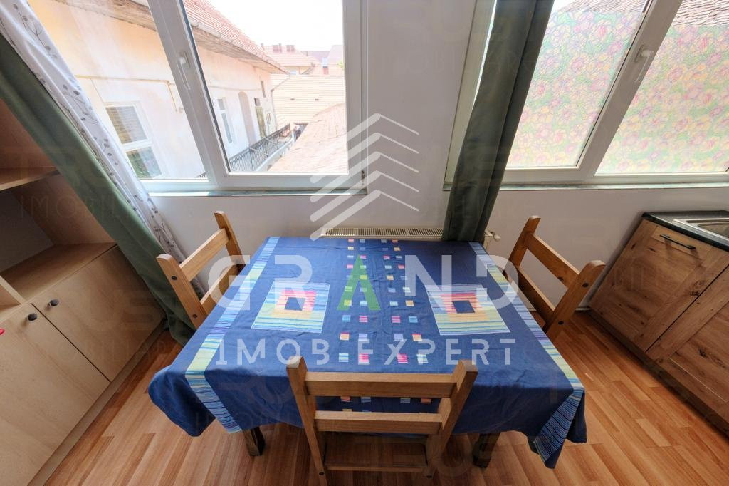PENTHOUSE 3 camere, TERASA, PET-FRIENDLY, zona ULTRACENTRALA/EROILOR