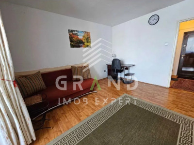 GARSONIERA ECONOMA, PET-FRIENDLY, zona Manastur