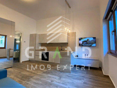 Apartament modern de inchiriat in centrul orasului, Pet Friendly,fara parcare
