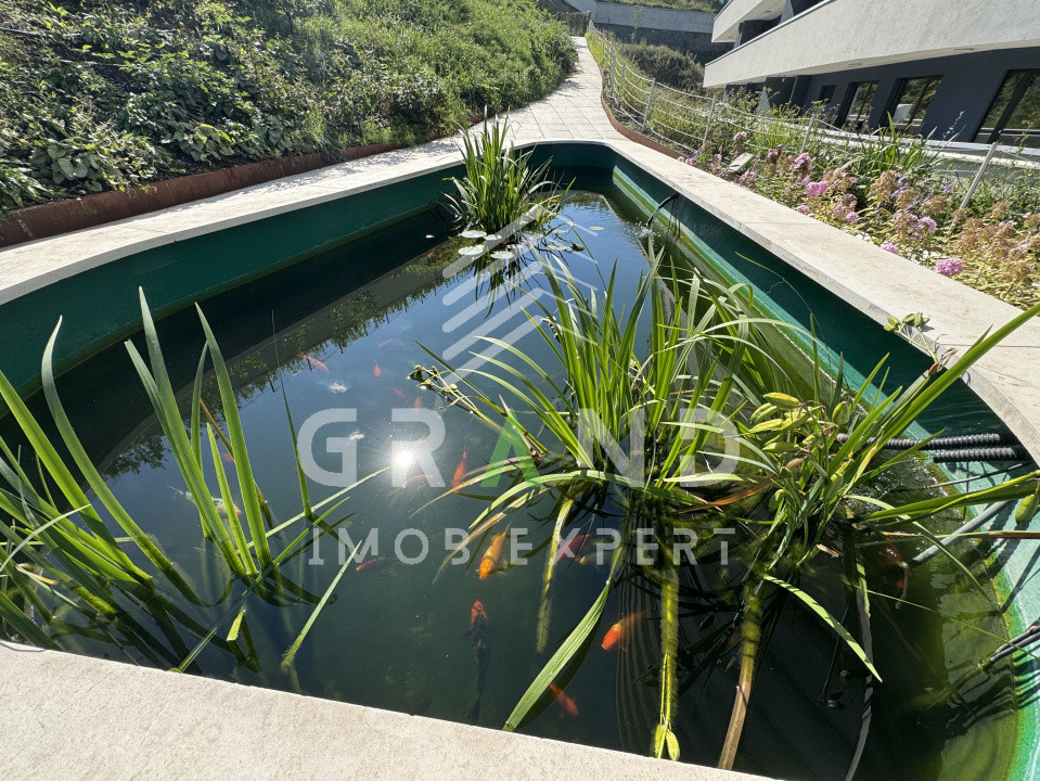 Ap 1 camera | BALCON | Zorilor/WINGS