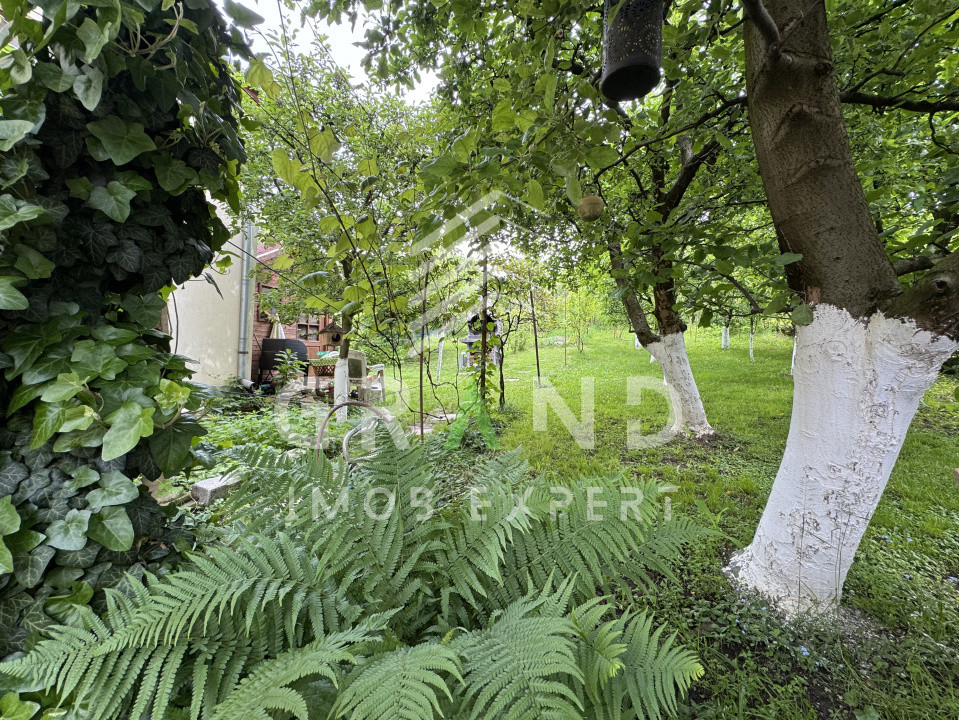 Casă cochetă cu grădină superbă și garaj–Dâmbul Rotund/Corneliu Coposu–Cluj