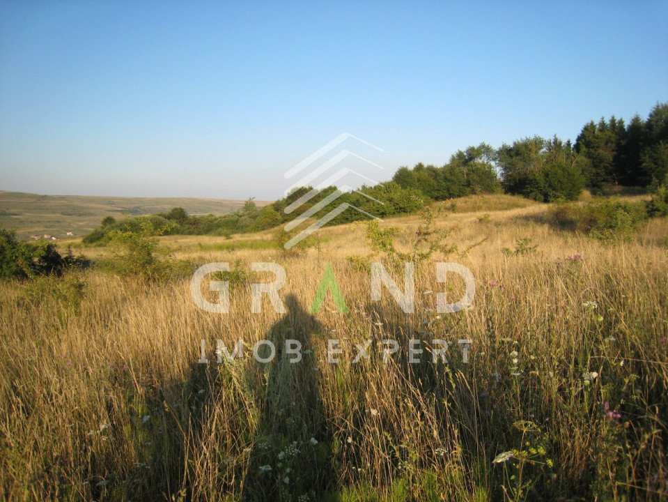 Teren cu CF și certificat de urbanism – O oportunitate unică în Chinteni,Cluj