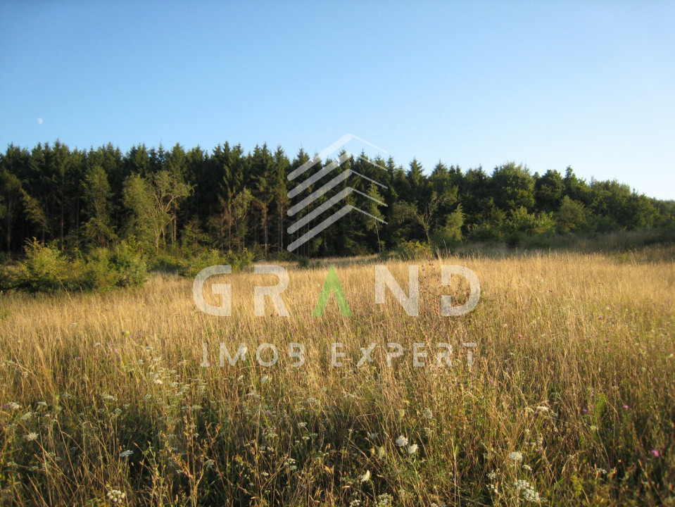 Teren cu CF și certificat de urbanism – O oportunitate unică în Chinteni,Cluj