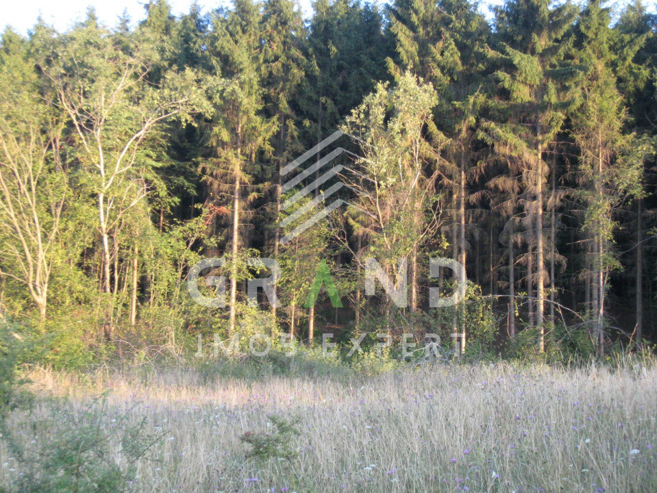 Teren cu CF și certificat de urbanism – O oportunitate unică în Chinteni,Cluj