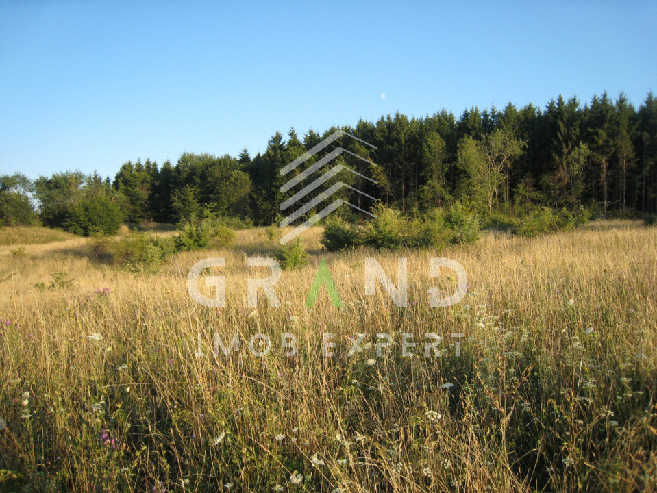 Teren cu CF și certificat de urbanism – O oportunitate unică în Chinteni,Cluj