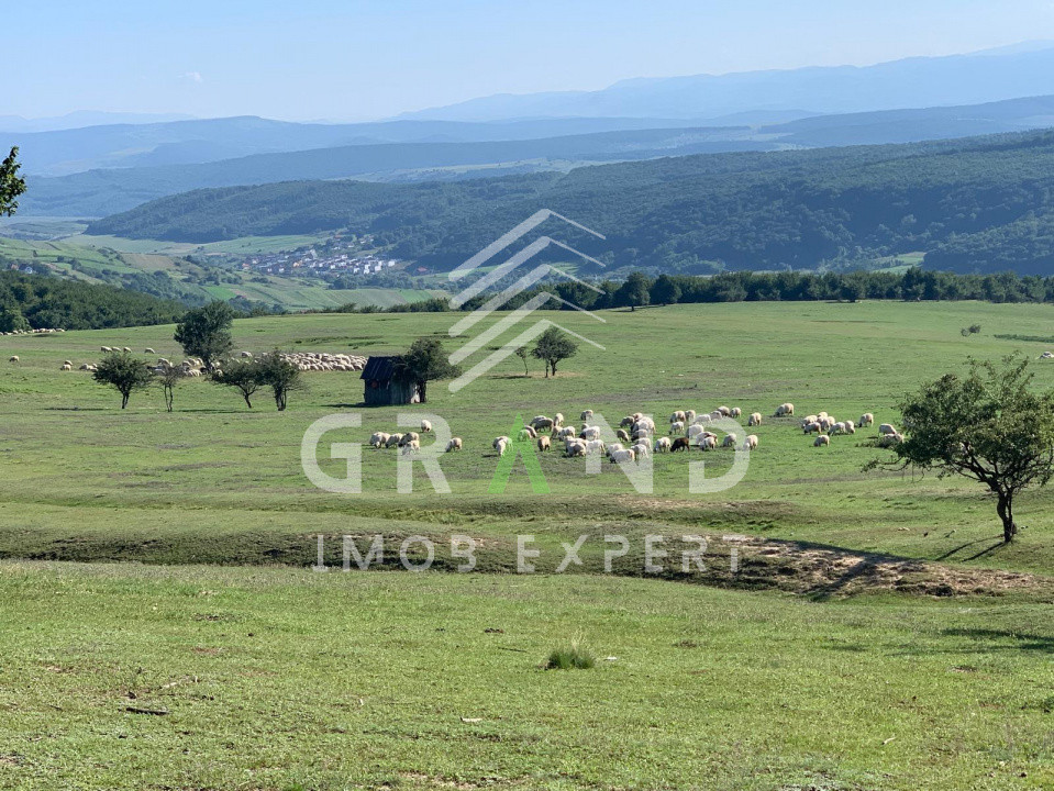 Teren cu CF și certificat de urbanism – O oportunitate unică în Chinteni,Cluj