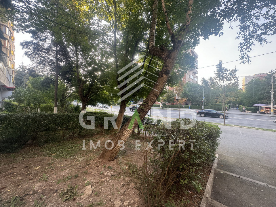 Ap 1 camera | 42mp | BALCON | USAMV/Kaufland /Manastur