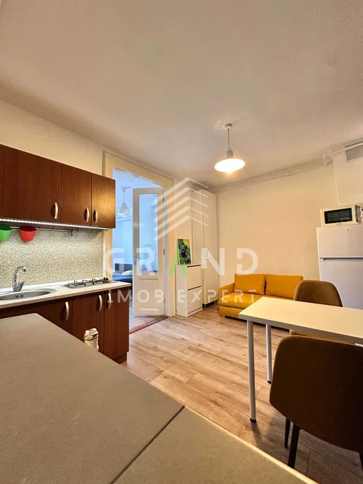 Apartament 1 Camera | Balcon | Internet | Petfriendly | Centru/Victor Babes -UMF