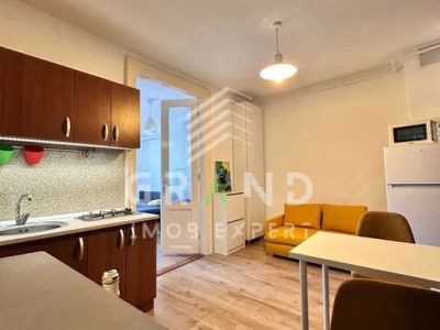 Apartament 1 Camera | Balcon | Internet | Petfriendly | Centru/Victor Babes -UMF