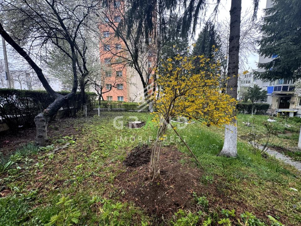 2 camere decomandat | Renovat | Balcon închis | Mănăștur/Mehedinți/Complex BIG