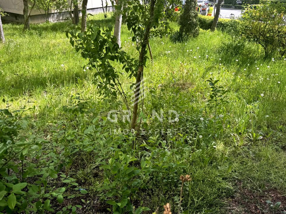 3 Camere Decomandat | 2 Băi | 69 mp | Parter | Zorilor/P-ța Zorilor/Observatorul