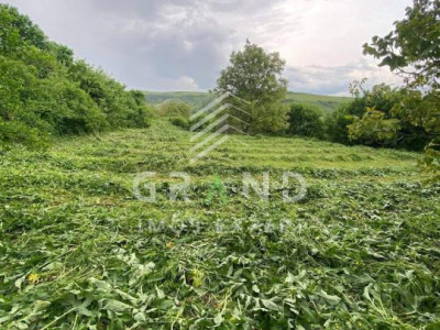 Teren 2200 mp, în Rădaia, com Baciu