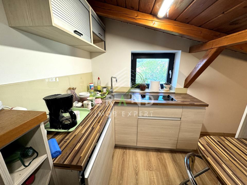 Hală multifuncțională+spații administrative/de locuit 558mp | Iris–Piața 1 Mai