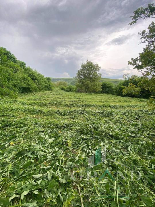 Teren 2200 mp, în Rădaia, com Baciu