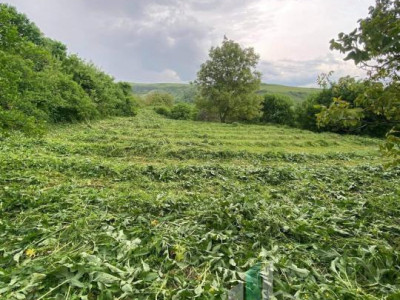 Teren 2200 mp, în Rădaia, com Baciu