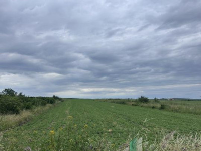 Teren intravilan 5.700 mp | Copăceni, Cluj | DN1 | 