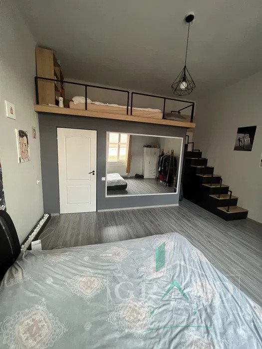 Apartament Ultracentral | 3 Camere | Living | Etaj 2 | Petfriendly