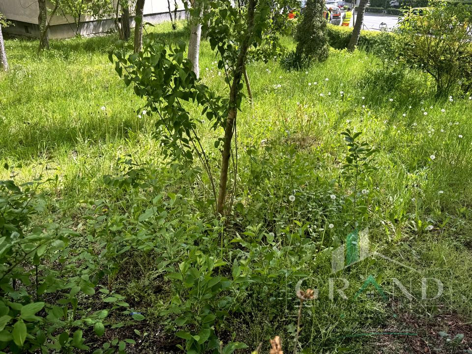 3 Camere Decomandat | 2 Băi | 69 mp | Parter | Zorilor/P-ța Zorilor/Observatorul